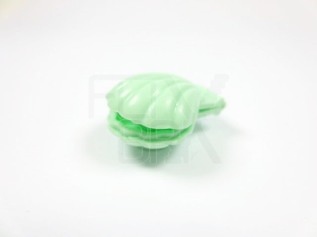 Tier Muschel mintgrün